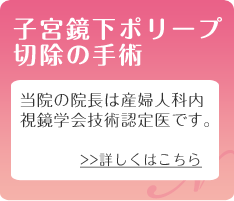 子宮鏡下ポリープ切除の手術