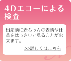 4Dエコーによる検査